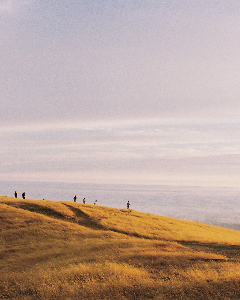 jocho0o's tweet photo. I can’t believe summer is over either 
📸: #canon rebel T2
🎞️: #kodak gold 200 #35mm https://t.co/DVcSx7Zf8D