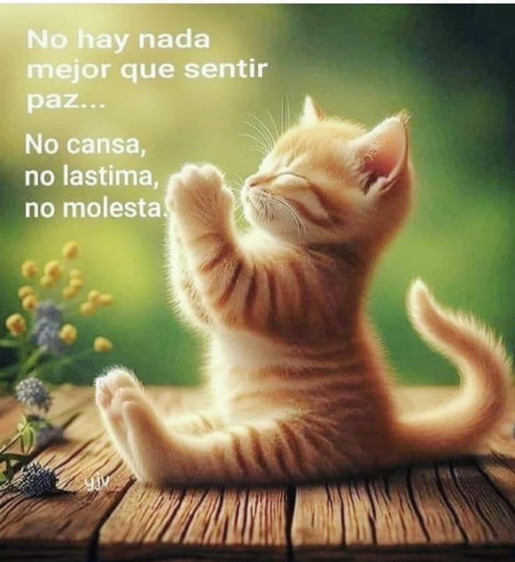 <a href="/LeonaMarielah/">MarielaDeSonora</a> <a href="/anacristinalpz/">Ana Cristina López</a> <a href="/antonia_nunez05/">Antonia de Mendez</a> <a href="/FanyGaraySainz/">Stefany Garay Sainz</a> <a href="/IleanadeMontes/">Ileana de Montes</a> <a href="/norita3329/">Nora....</a> <a href="/Karina22_DF/">Karina ✍️</a> <a href="/BrisaM01/">Brisa</a> <a href="/RosasVivianne/">Vivi</a> <a href="/SandraMiaM1/">Sandra</a> <a href="/JormerMx/">Jorge Mercado</a> <a href="/insaurraldeh/">⭐POLI⭐ #MGWV⭐</a> <a href="/Alaayous3/">alaa amy</a> <a href="/Alucard30Mx/">Alfonso G.M. ⚽️🇲🇽</a> <a href="/CPMarceloGL/">CP. Marcelo G. Leyva</a> ╦═╗
║╣OllOW ➡️
╩ #LosAmigosDeLaLeona 🦁💞
<a href="/anacristinalpz/">Ana Cristina López</a>
<a href="/antonia_nunez05/">Antonia de Mendez</a>
<a href="/FanyGaraySainz/">Stefany Garay Sainz</a>
<a href="/IleanadeMontes/">Ileana de Montes</a> 
<a href="/norita3329/">Nora....</a>
<a href="/Karina22_DF/">Karina ✍️</a>
<a href="/BrisaM01/">Brisa</a>
<a href="/iGy_nna/">Gina</a>
<a href="/RosasVivianne/">Vivi</a>
<a href="/SandraMiaM1/">Sandra</a>
<a href="/JormerMx/">Jorge Mercado</a> 
<a href="/insaurraldeh/">⭐POLI⭐ #MGWV⭐</a>
<a href="/Alaayous3/">alaa amy</a> 
<a href="/Alucard30Mx/">Alfonso G.M. ⚽️🇲🇽</a> 
<a href="/CPMarceloGL/">CP. Marcelo G. Leyva</a>
Gracias por la mención amiga🌹