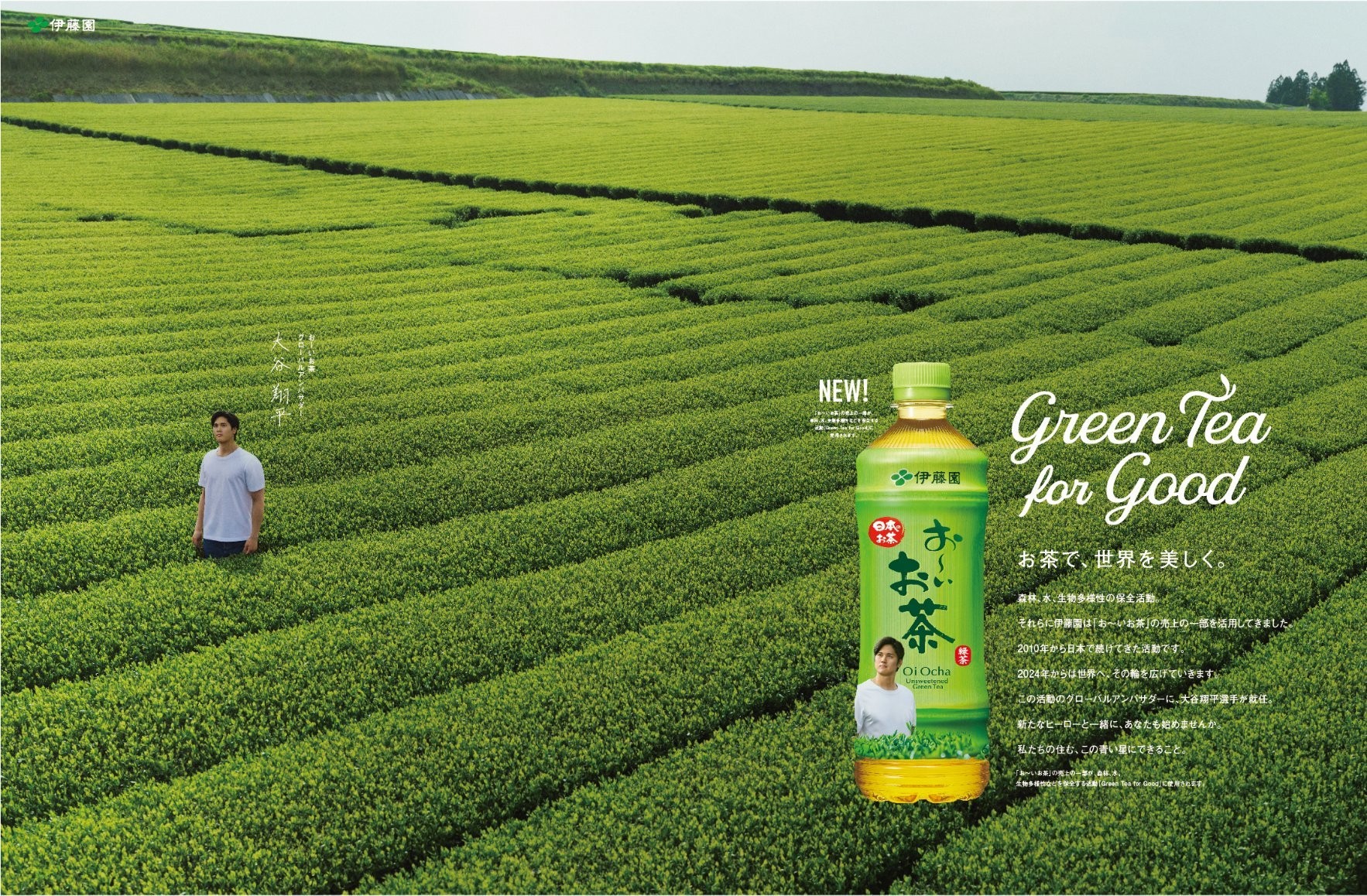 激レア】伊藤園 お〜いお茶発売30周年記念オーナメント 伊藤園「お～い