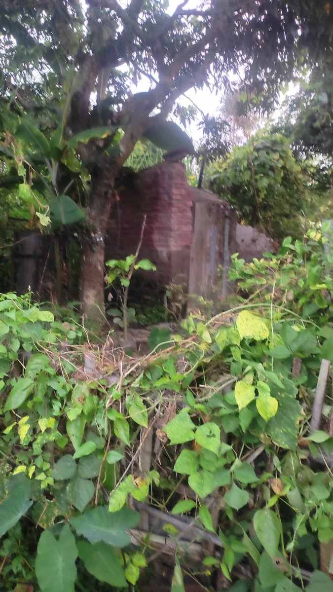 Kangleipak Information Bureau tweet media