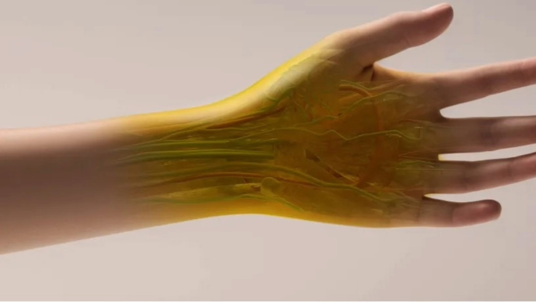 ¿Piel transparente?: un popular colorante alimentario podría ayudar a conseguirlo dlvr.it/TCtbMk