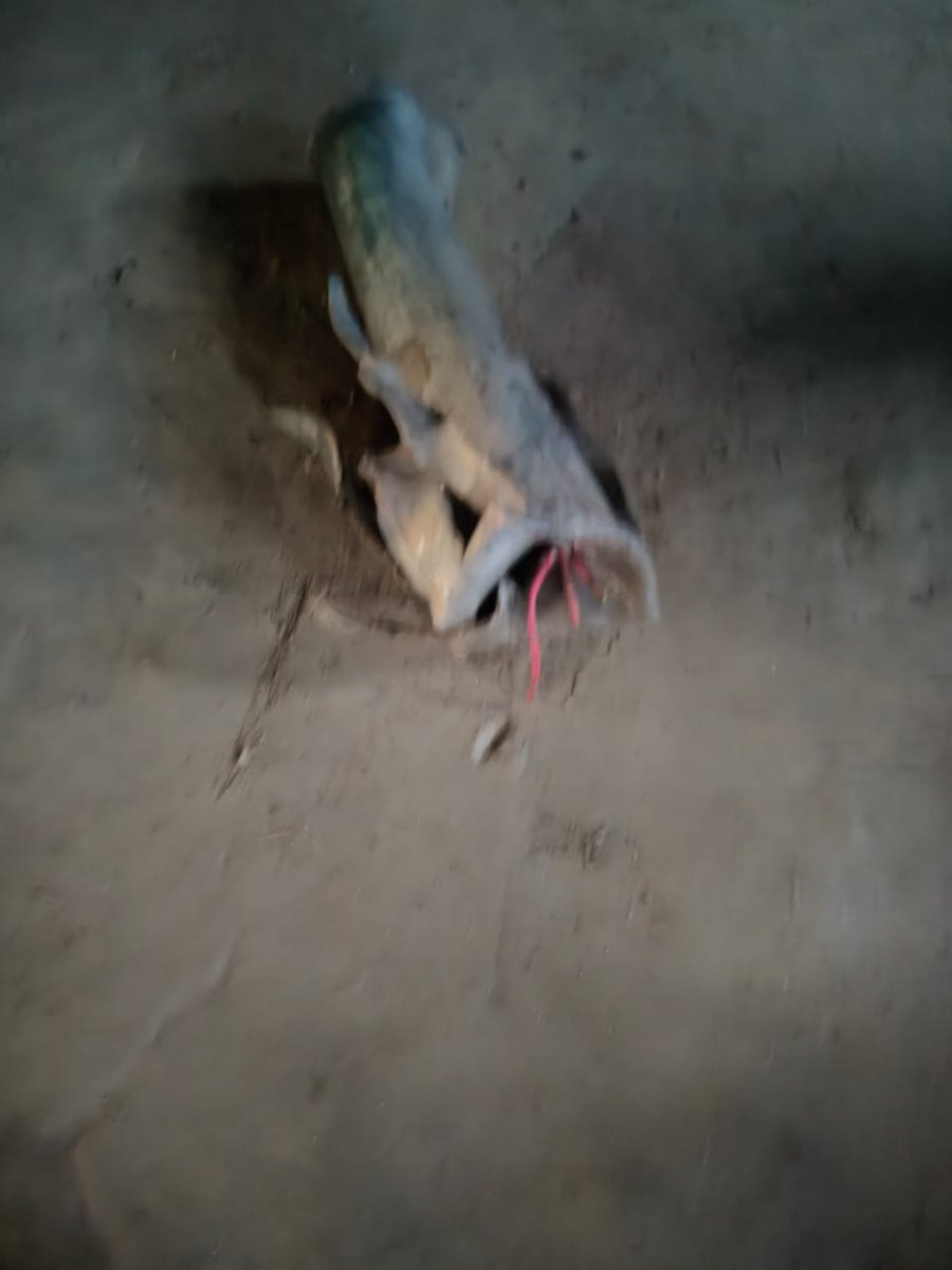 chingthou's tweet photo. BREAKING NEWS: Early morning shelling by #KukiMilitant hit Tronglaobi #Meetei village in Bishnupur district, #Manipur today around 4.30 AM. Further details awaited https://t.co/5cdnFn5aPf