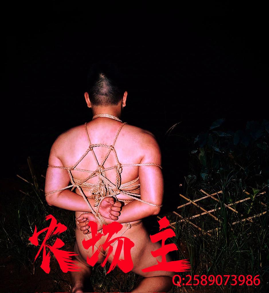 农场主招募私奴，能来农场稳定生活在一起的奴！2589073986