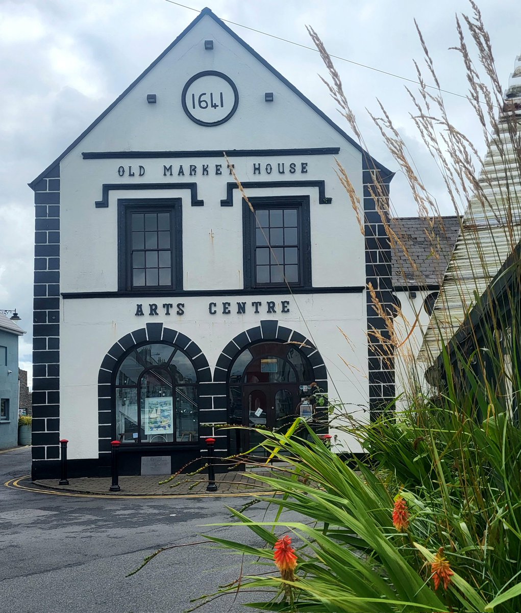 Brigid Walsh 🌻💙🕊💛 tweet media