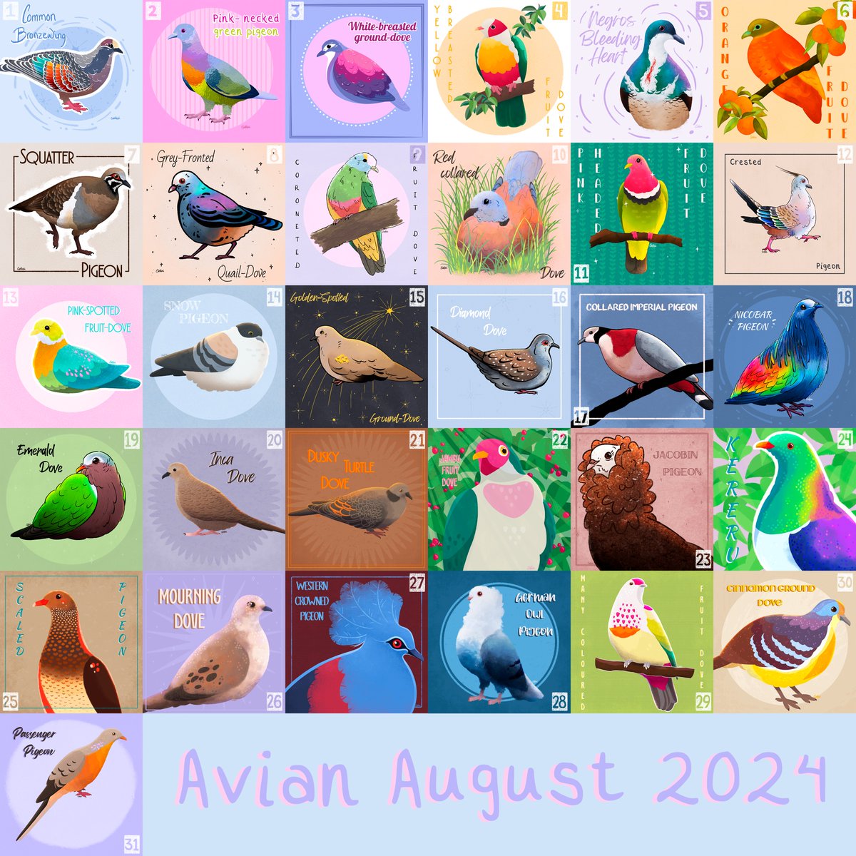 CatRobi2's tweet image. #AvianAugust2024 All the birbs together ⭐️I have never completed one of these drawing "challenges" before, so this was an enjoyable experience!