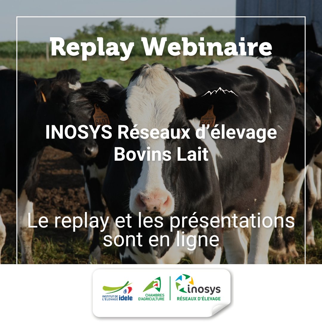 InstitutElevage's tweet image. Replay Webinaire 💻 | #INOSYS bovins lait 🐄
✅ #Robot de #traite : Analyses, recommandations, perspectives
✅ Consommation d’énergie
✅ Transmissibilité des exploitations laitières
Le webinaire et les présentions sont en ligne ici =&amp;gt; cutt.ly/ieW5SDfj
@ChambagriFrance