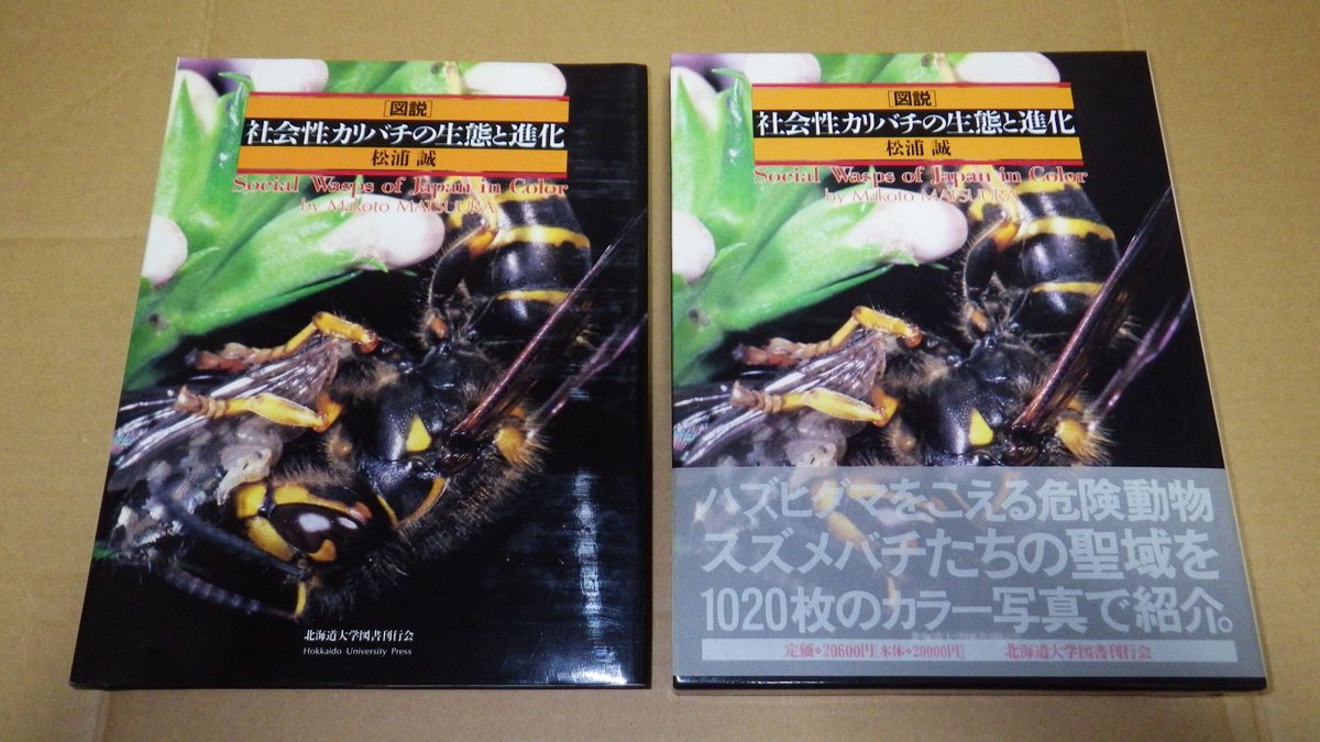 図説社会性カリバチの生態と進化