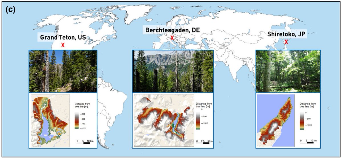 RupertSeidl's tweet image. How are landscapes with different forest disturbance regimes responding to climate change? Great first PhD paper by @cedollinger with a wonderful group of collaborators, out now in @GlobalChangeBio. Made possible by @ERC_Research doi.org/10.1111/gcb.17…