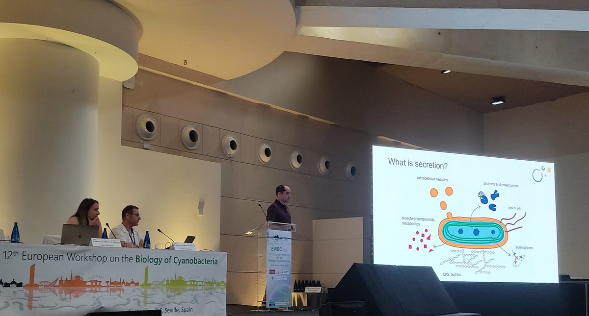 ewbc2024's tweet image. Final talks from the Ecology and Interactions with the Environment #EWBC2024