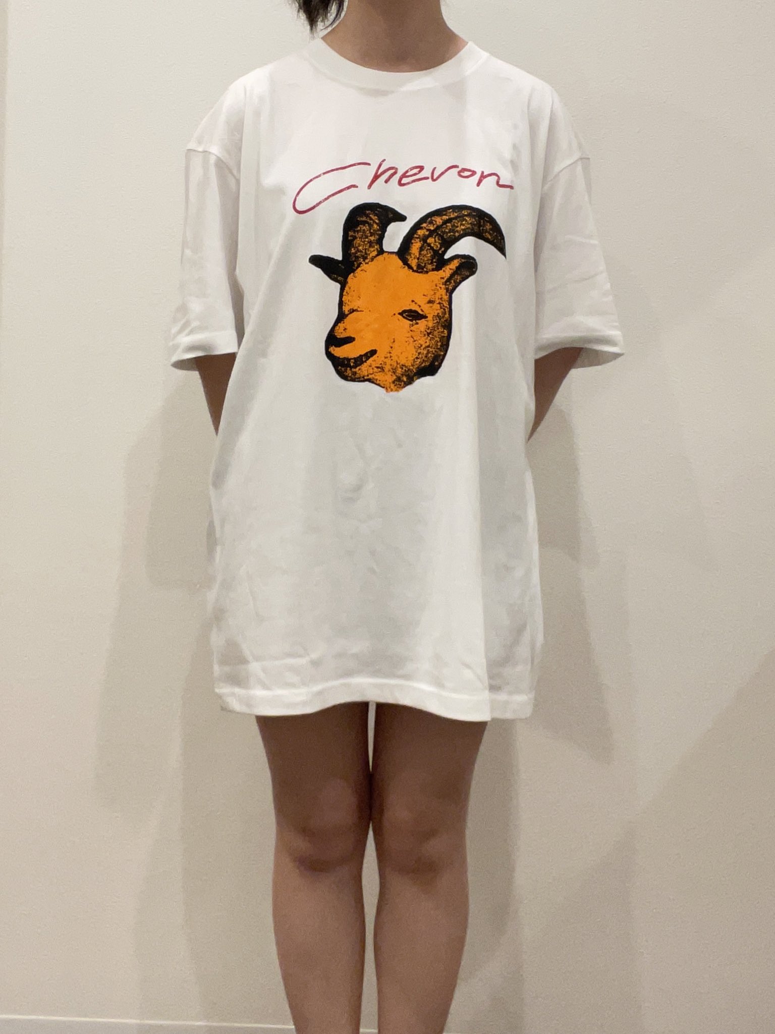 Chevon 復刻Tシャツ ホワイト Lサイズ 白 Chevon 白Tシャツ／大行侵Tシャツ 各Lサイズ - メルカリ