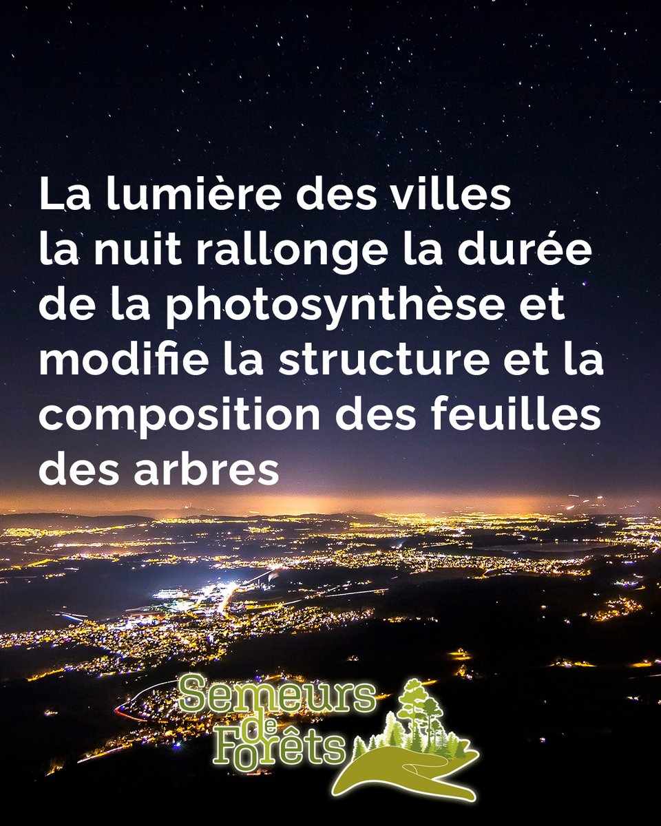 Semeurs de forêts tweet media