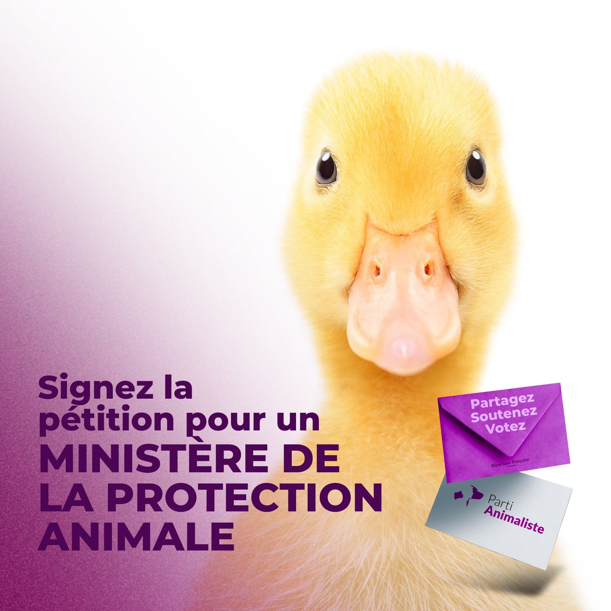 Comme deux Français sur trois, je souhaite un ministère de la Protection animale. 

Notre signature peut faire beaucoup pour les animaux, soyons nombreux à signer et partager cette pétition !

👉 b.parti-animaliste.fr