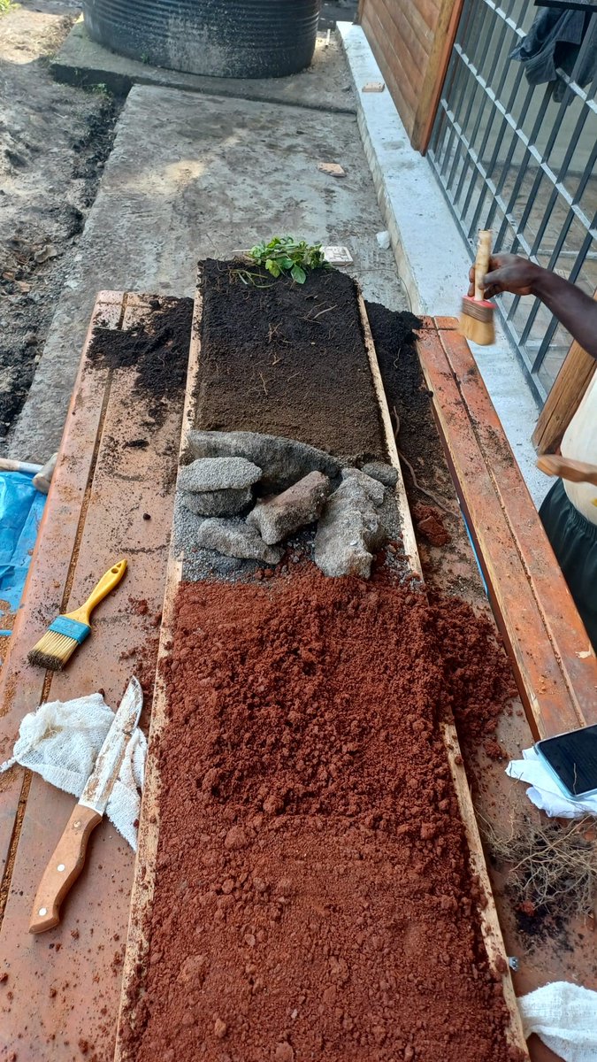 Soil Resources Group at ETH Zurich (@eth_soilres) on Twitter photo Introducing our Soil Profile Collection: A unique educational resource for students <a href="/ETH/">ETH Zürich</a>. Each #SoilMonolith showcases the global diversity of soils & the impacts of humans. Stay tuned as we explore the stories of these soils!
#SoilProfileCollection #SoilEducation #SoilDiversity Introducing our Soil Profile Collection: A unique educational resource for students <a href="/ETH/">ETH Zürich</a>. Each #SoilMonolith showcases the global diversity of soils & the impacts of humans. Stay tuned as we explore the stories of these soils!
#SoilProfileCollection #SoilEducation #SoilDiversity