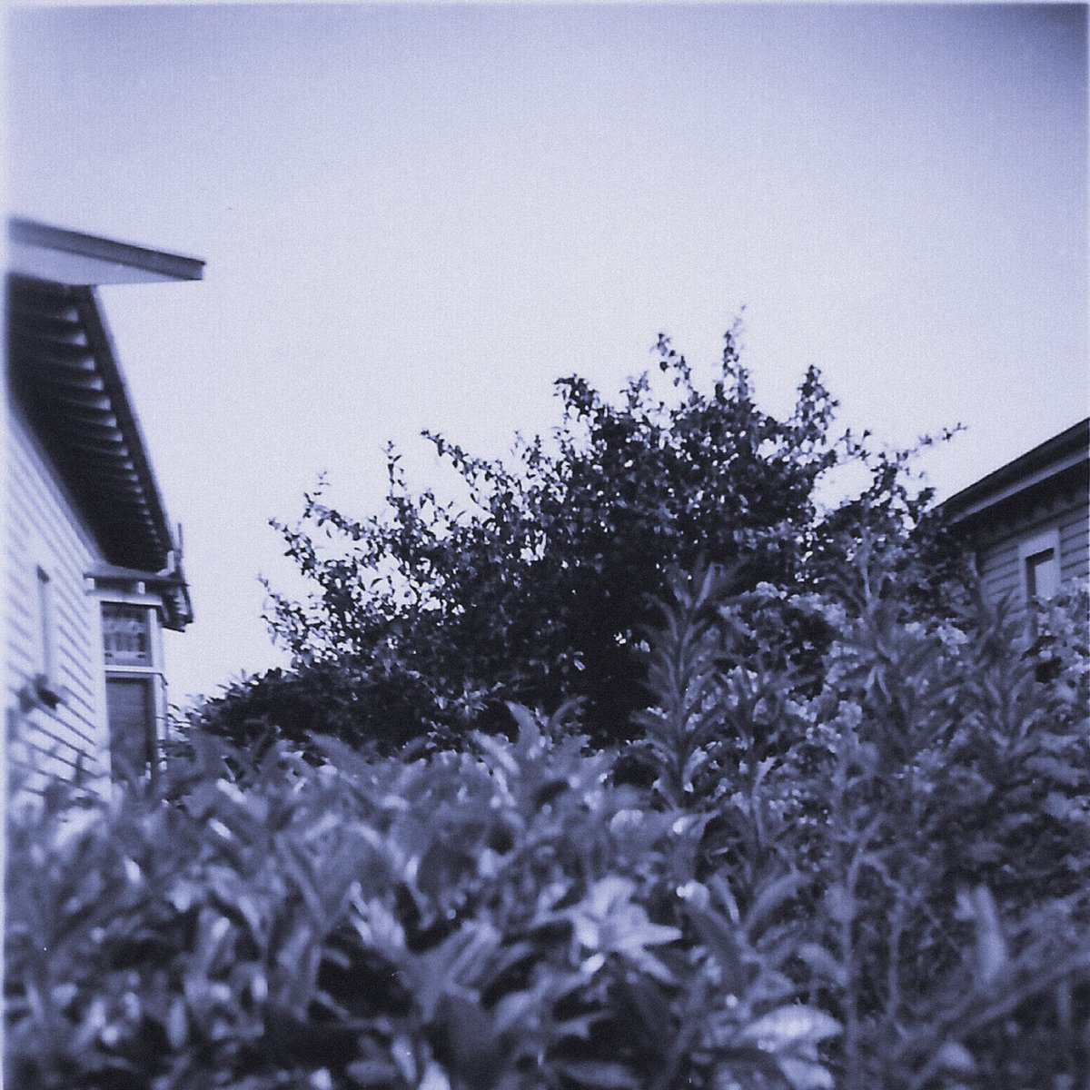 HAPPY BANDCAMP FRIDAY!!!

Makhun - The Air Is Unable 

*OUT NOW*

makhun.bandcamp.com/album/the-air-…