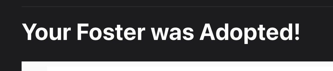 BEST. FEELING. EVER. 😭✨🥳