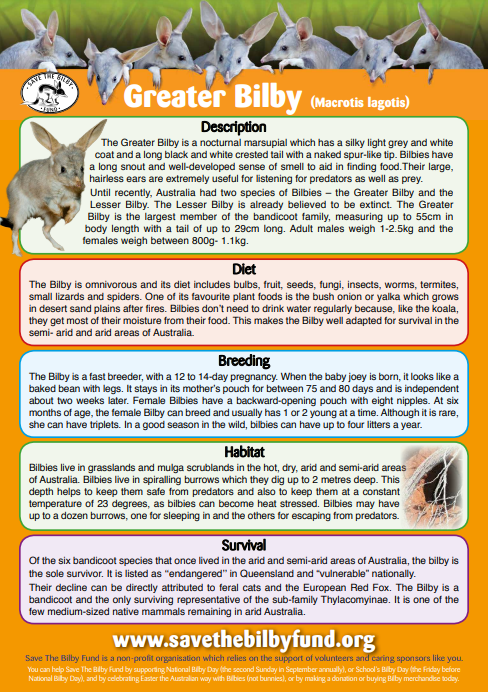 Happy National Bilby Day! The Greater Bilby is a  nocturnal marsupial native to Australia. Sadly, bilbies are endangered due to habitat loss and predation. Learn more and support bilby conservation at savethebilbyfund.org.au