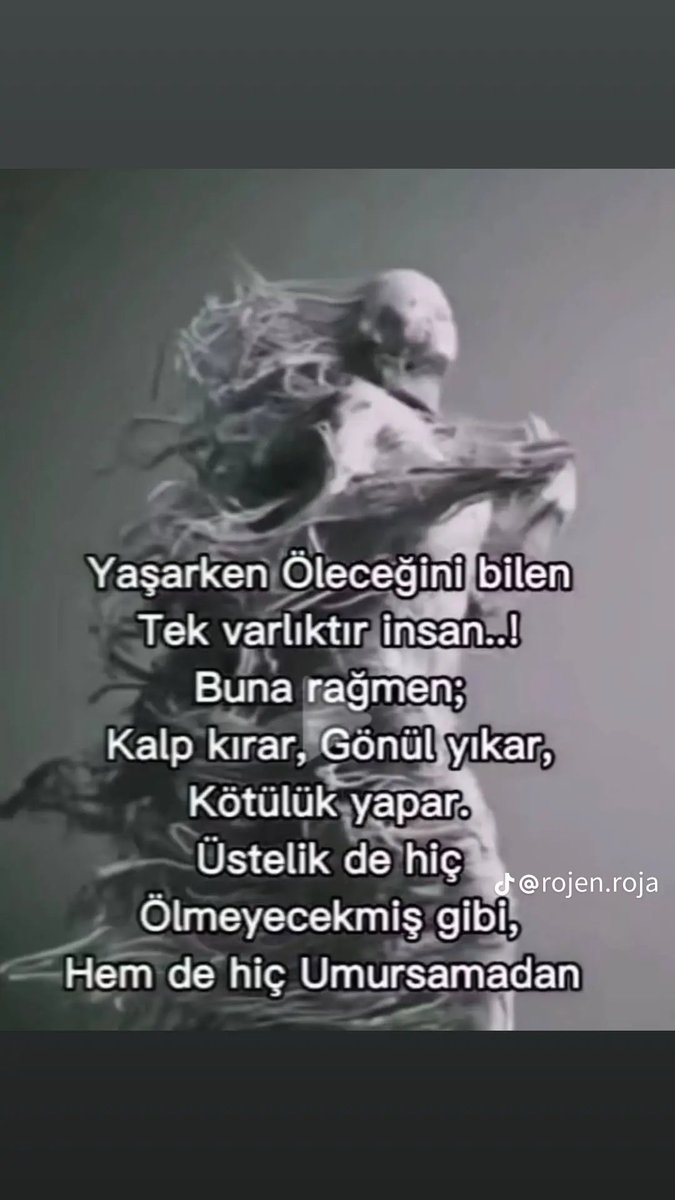 Zafer kiraz (@kiraz71603) on Twitter photo 