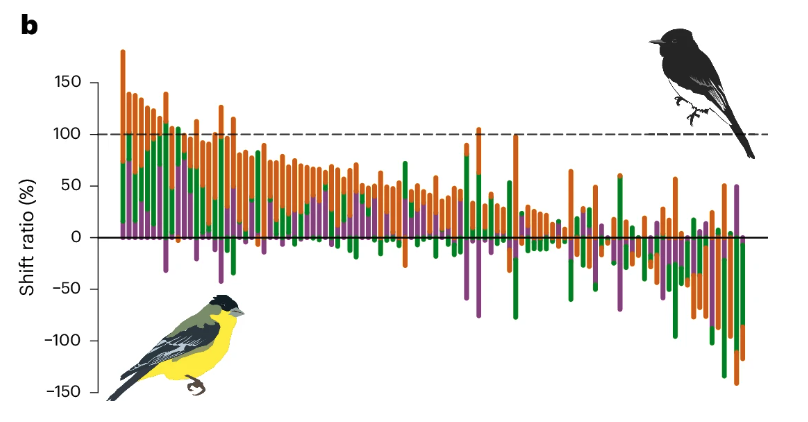 BOU 👩🏻🏫👨🏿🏫🧕🏽👳🏽♂️ 🌈 (@ibis_journal) on Twitter photo Advances in breeding phenology outpace latitudinal and elevational shifts for North American birds tracking temperature | nature.com/articles/s4155… | <a href="/NatureEcoEvo/">NatureEcoEvo</a> | #ornithology Advances in breeding phenology outpace latitudinal and elevational shifts for North American birds tracking temperature | nature.com/articles/s4155… | <a href="/NatureEcoEvo/">NatureEcoEvo</a> | #ornithology