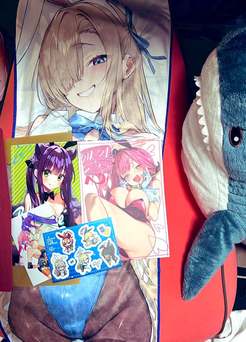 メロブで注文した夏コミ本が届いたンスけど…あの…デカ過ぎるッピ… 