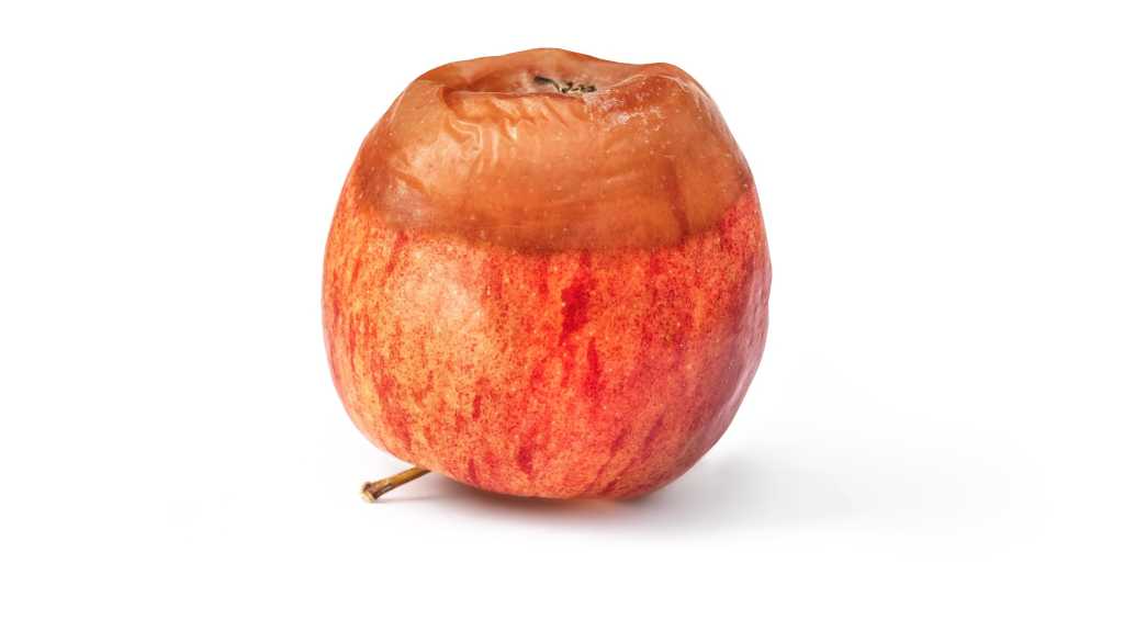 Bezaubernd gefloppt: 8 Apple-Produkte, die keiner wollte dlvr.it/TCtmm0