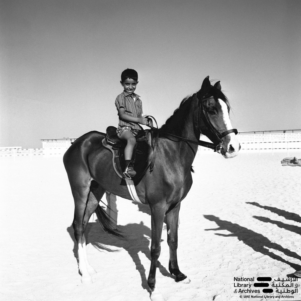 Nlauae's tweet image. Step back into the 1960s with this rare photograph of a young Sheikh Hazza Bin Zayed Al Nahyan on horseback, capturing a timeless moment of grace and tradition.
© UAE National Library and Archives

#NLA #NationalLibraryAndArchives #NationalLibrary #PowerOfConnection…