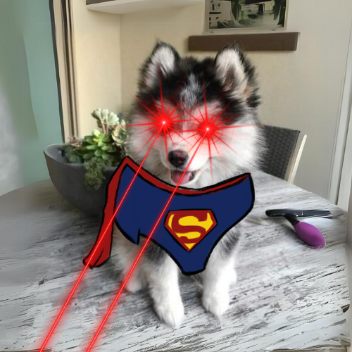 caneonsol tweet media