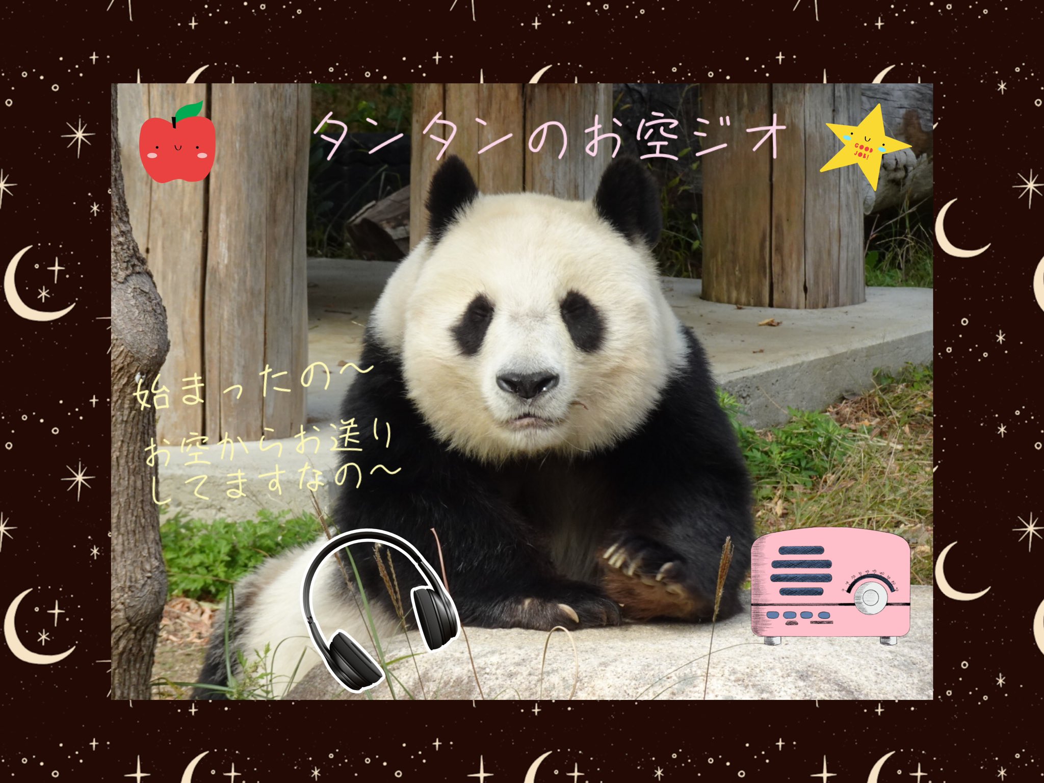 ぱんちゃん専用 6様専用 ぱんちゃん様専用7点おまとめ PAN さん様