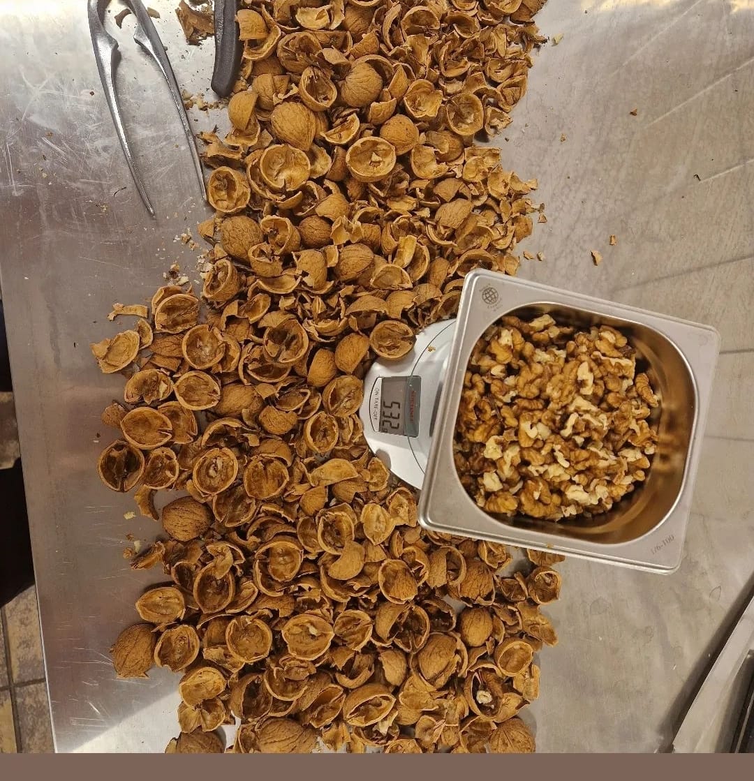 Gisteren heeft  <a href="/alacartekok/">rieno bos</a> de eerste walnoten gekraakt. Voor een recept. Toen hij genoeg gram had heeft hij ze gemalen. Het is een heerlijke noga geworden.