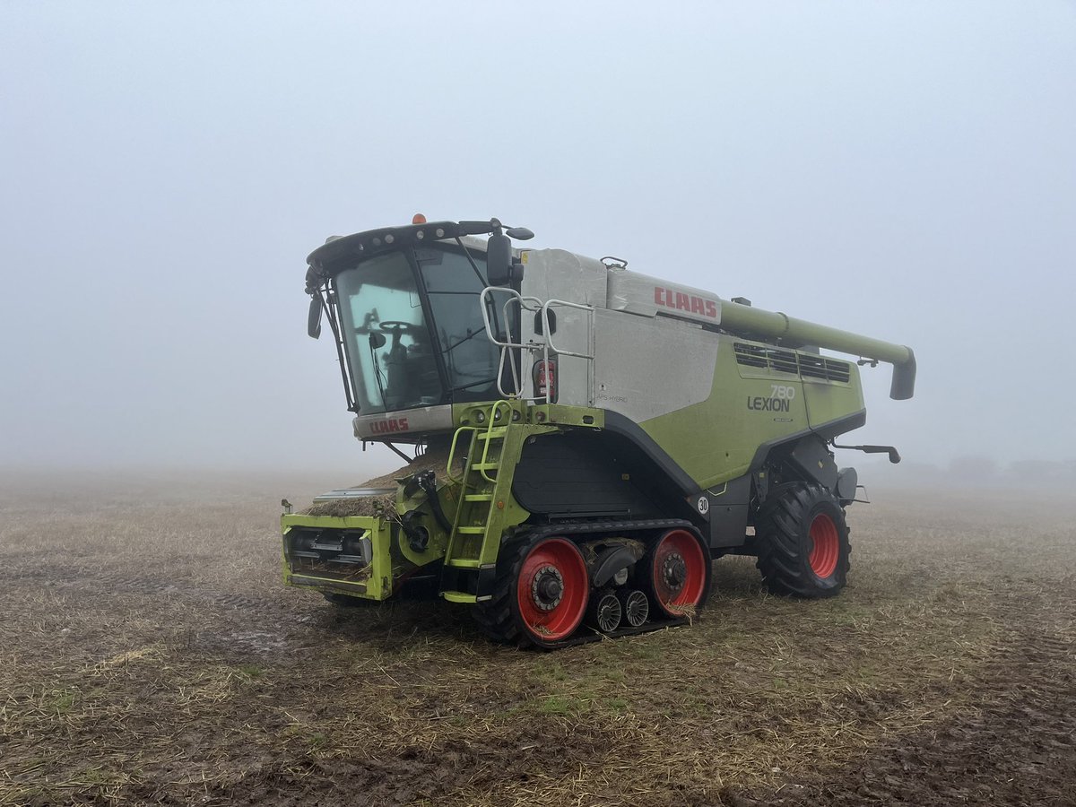 Another day another morning of sea 🌊 haar!