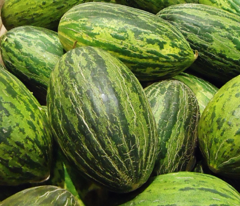 Brasilianische Melonen treffen früher als erwartet in Europa ein: Die Melonensaison in Europa geht zu Ende. Das italienische Angebot endet nächste Woche und das spanische Angebot bleibt in Europa allein, um den europäischen Bedarf im September zu… dlvr.it/TCtqDB