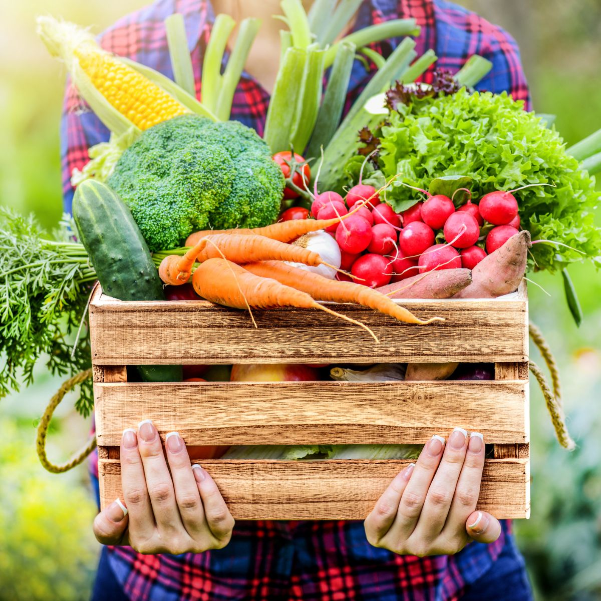 Eat your vegetables 🌽 - this week, we manage to fill an entire email just talking about veggies - from beetroots to cucumbers, there are weird #Nordic #idioms for everyone - mailchi.mp/scandikitchen/…