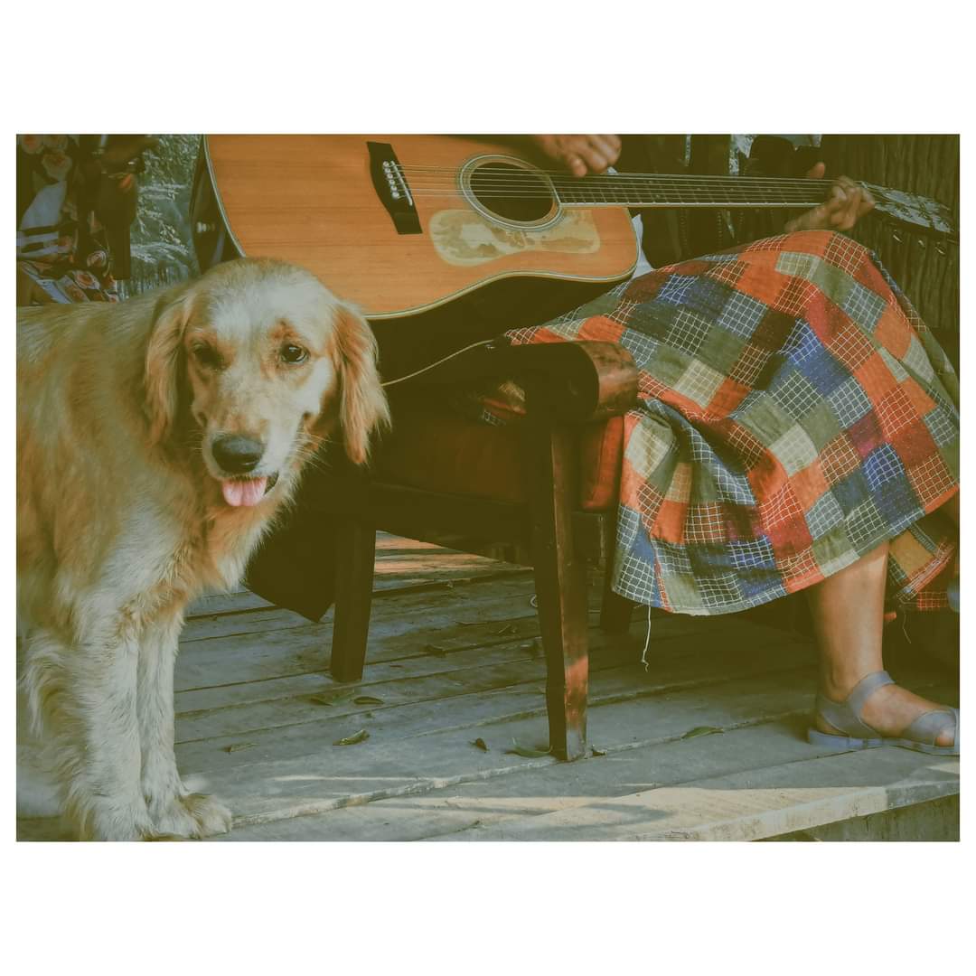 vietnamexploral's tweet image. Local experiences, in Hói Dừa village - Lăng Cô bay, Huế 🇻🇳
#localexperiences #natureexploral #vietnamlocaltours