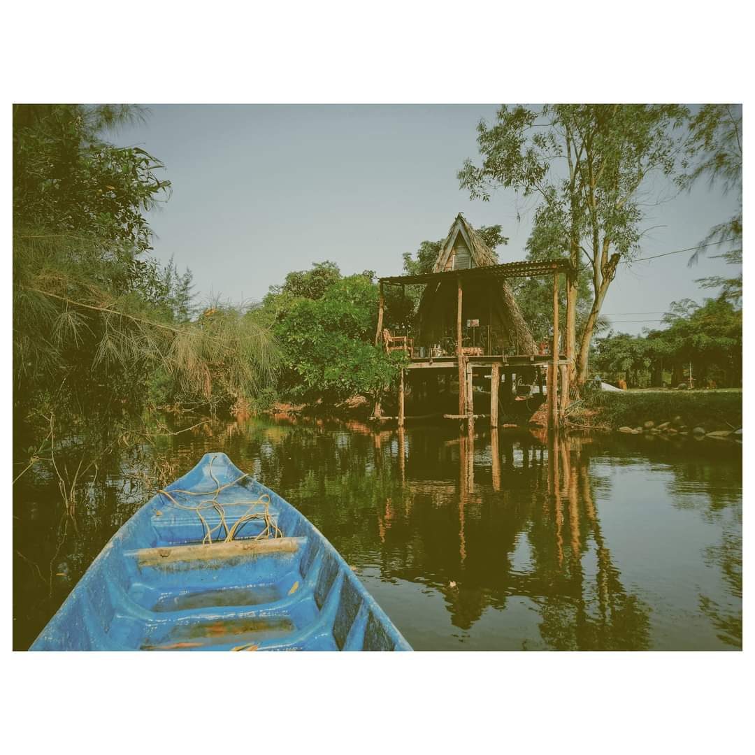 vietnamexploral's tweet image. Local experiences, in Hói Dừa village - Lăng Cô bay, Huế 🇻🇳
#localexperiences #natureexploral #vietnamlocaltours