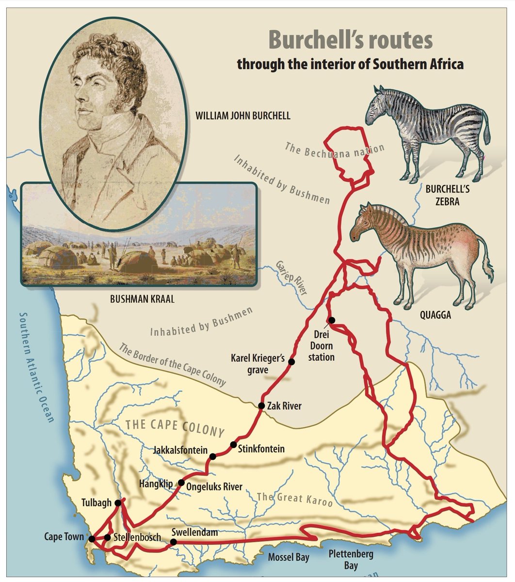 My William Burchell Karoo odyssey. December, 2015 open.substack.com/pub/kevindavie…