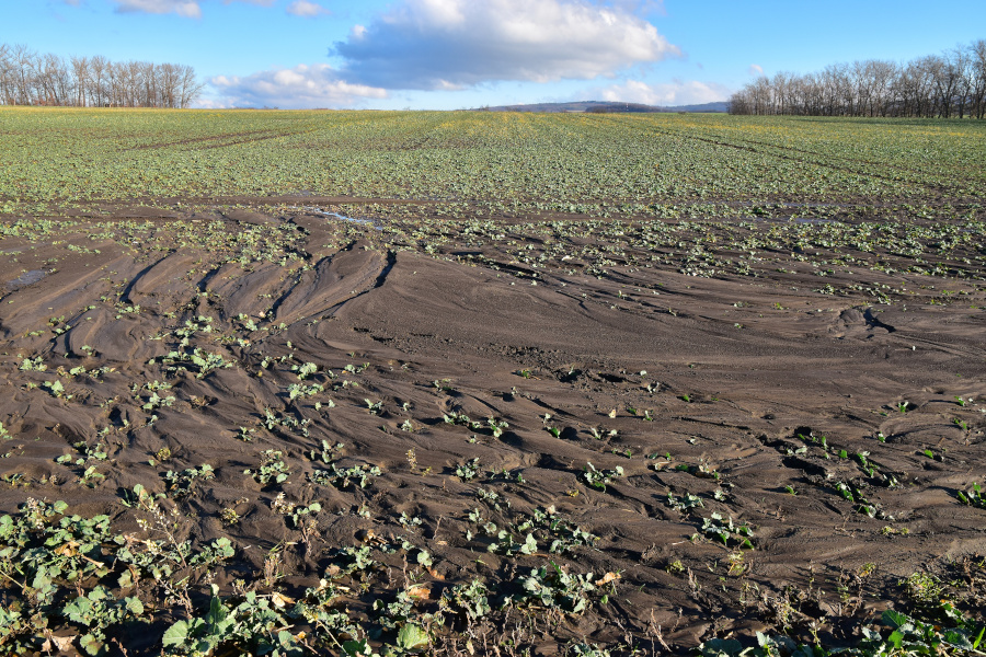 Wie wirkt sich der #Klimawandel auf die #Wasserversorgung aus und was bedeutet das für die #Landwirtschaft? Eine Anpassung ist unerlässlich.
➡ fcld.ly/xyfxrq2 
#Klimaanpassung #Wassermanagement
