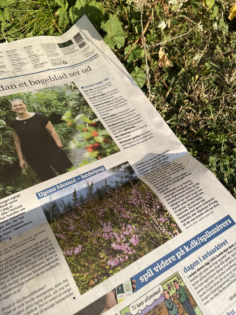 Louise Isager Ahl tweet media