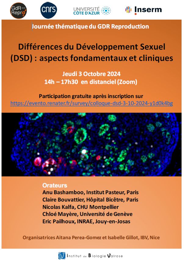 GdR_Reproduction tweet media