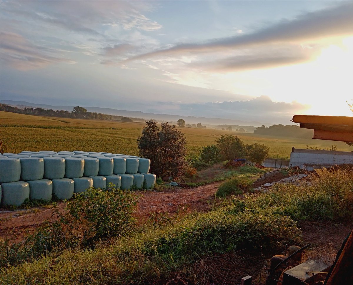 Bon dia! 😊
#franciac