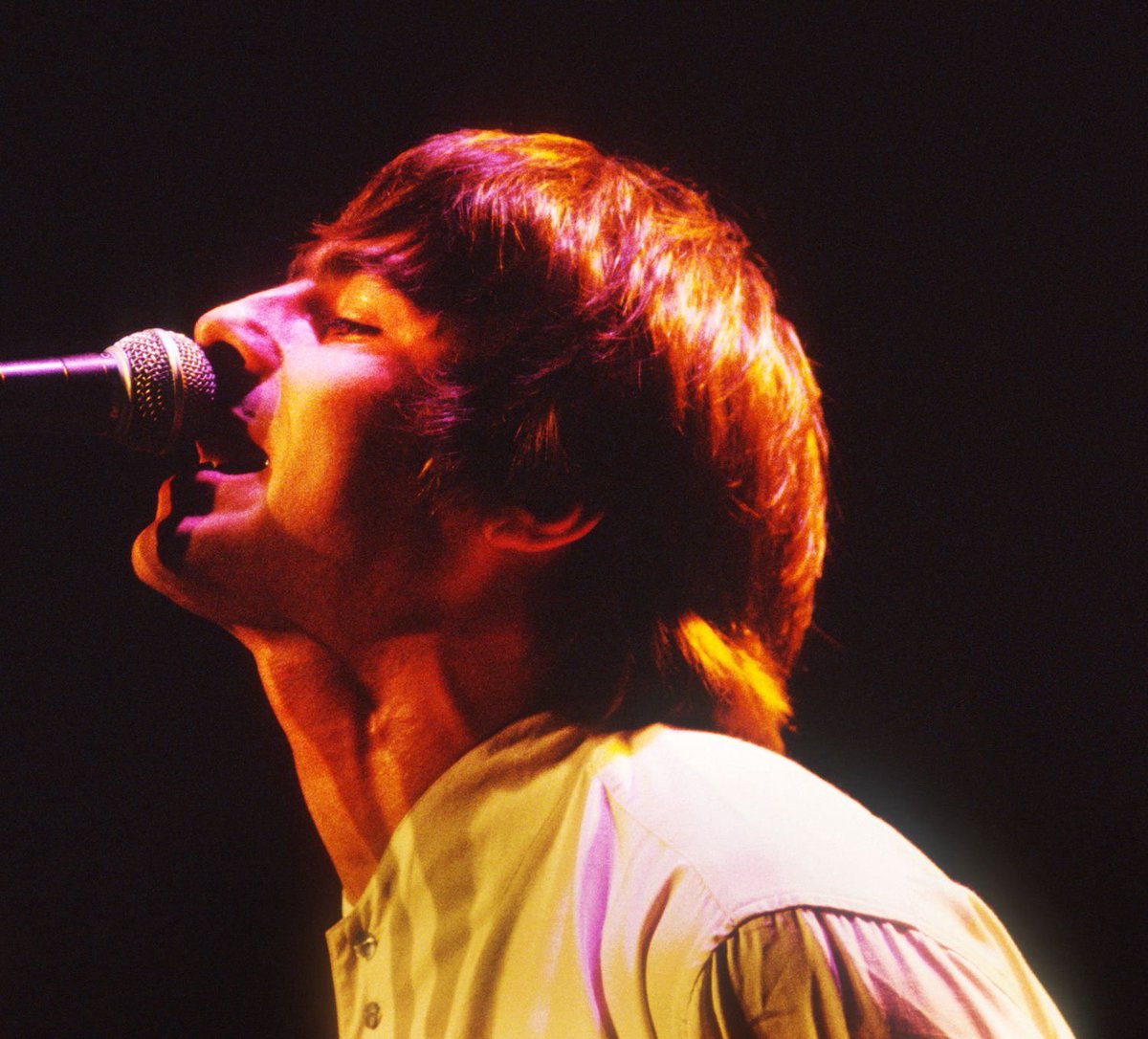daily liam gallagher pics tweet media