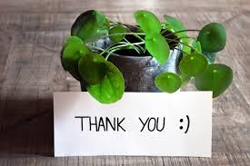A BIG THANKS to each and everyone at #Safety2024 for making it a grand success with tremendous knowledge exchange, new learnings, impact and amazing social networking through your presence in #NewDelhi🙌
Grateful for extending the opportunity to host you all. Hope to meet again🙏