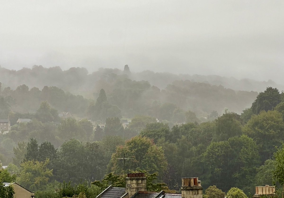 It’s wet in Widcombe with Lyncombe Vale resembling a tropical rain forest!