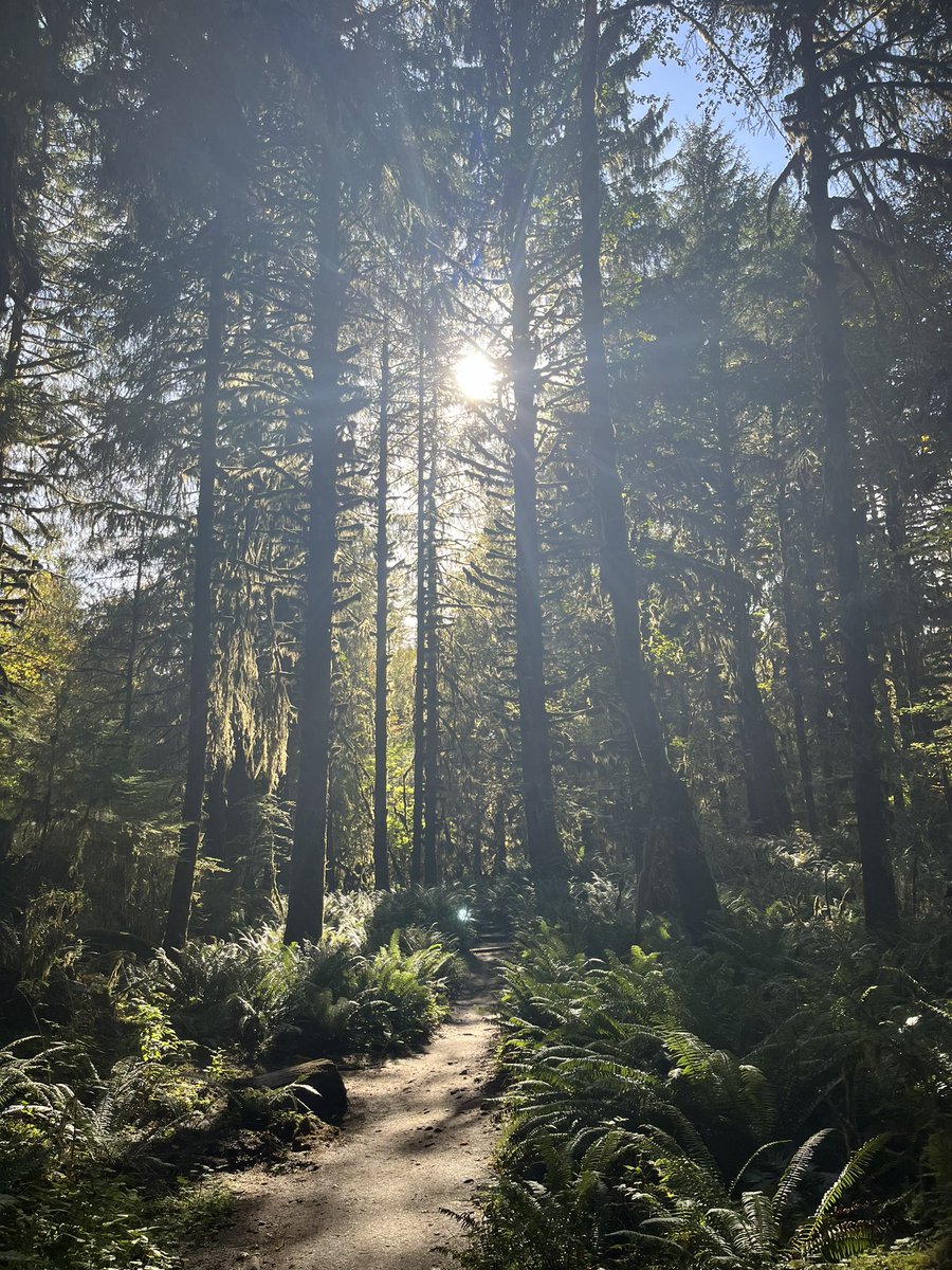 spilledsoap's tweet photo. washington is so beautiful 🌲💞 https://t.co/ouhfAvN4Qp