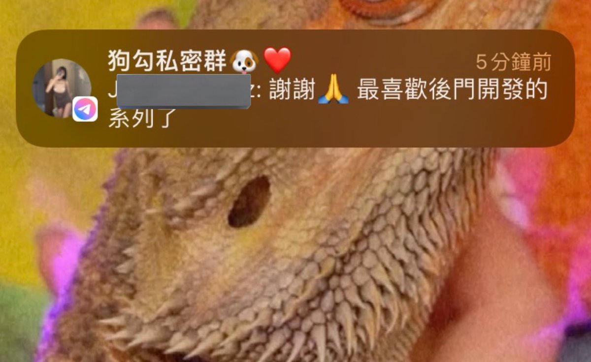 最近在努力開發屁屁🥲

私密群私訊詢問🐶 https://t.co/wl4vHLCTN7