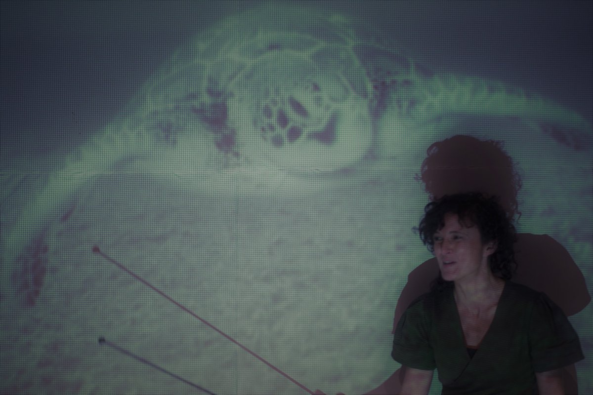 🔈¿Quieres ganar dos entradas para nuestro espectáculo inaugural?
Sencillo, etiqueta a 3 amigos en esta publicación y entrarás en el sorteo de dos entradas para ver EL TIEMPO DE LAS TORTUGAS

El lunes 9 sabremos el ganador, tienes hasta entonces para compartirnos!!!