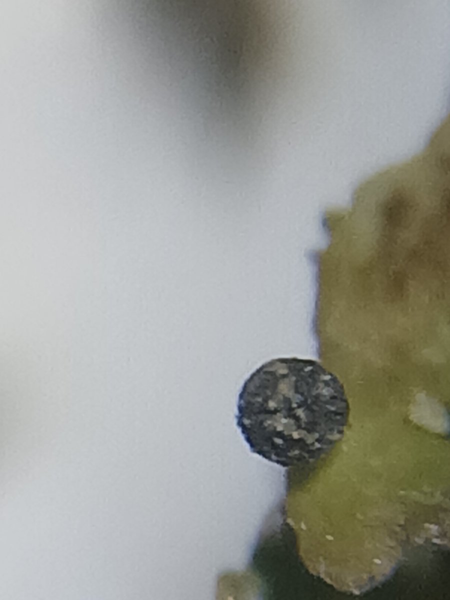 Graham Featherstone tweet media