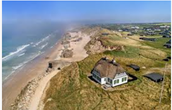 Longhorn tweet media