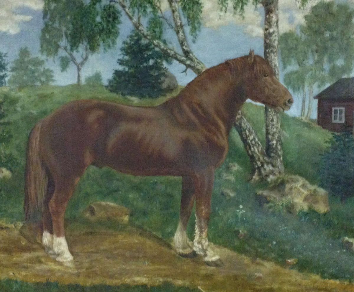 Hyvää Suomenhevosen päivää. Kuvassa Suomenhevosen ”isän”, Ludvig Fabritiuksen, silmäterä Kirppu #ravit