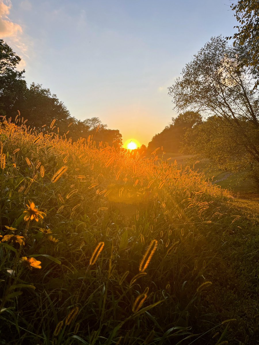 schuck56's tweet image. Morning Prayer. 🙏🏼