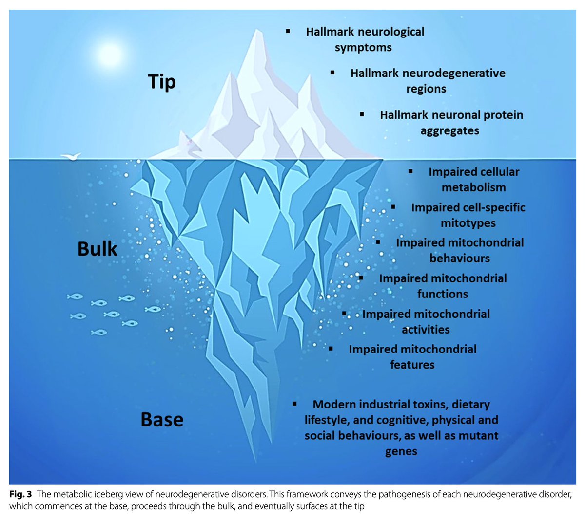 Metabolic Iceberg of Neurodegenerative Disorders

Great concept by metabolic neurologist <a href="/drmclphillips/">Dr. Matthew CL Phillips</a>
Happy to have played a small role in this piece

…alneurodegeneration.biomedcentral.com/articles/10.11…