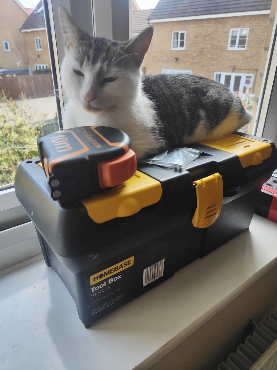 Dagon in places she shouldn't be. Tool box makes a good bed apparently